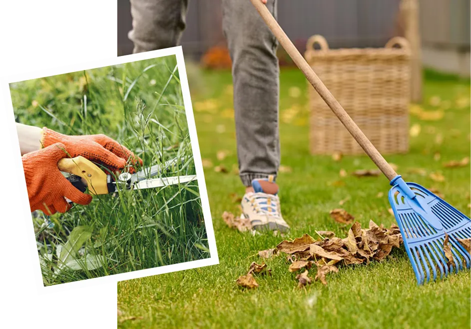 Garden Maintenance, Lawn Care & Outdoor Styling